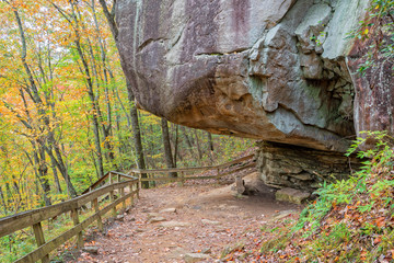 Hiking Trail At Cloudland Canyon State Park