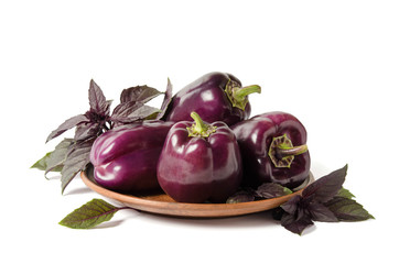 Fresh vegetable. Dark purple peppers in the plate with leaves of basil  isolated on white backgound