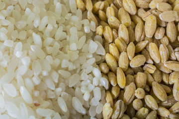 half rice half grain wheat background