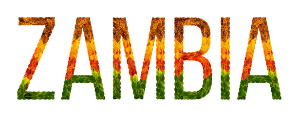 word zambia country is written with leaves on a white insulated background, a banner for printing, a creative developing country colored leaves zambia