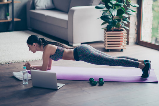 Enduring concentrated strong sporty woman is doing working out at home and doing plank in front of her laptop, wearing sport outfit