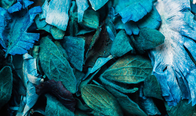 Colourful dried flowers petals and leaves.