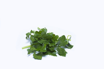 Fresh green celery isolated on white background with shadows. Close up.