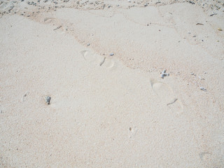 Abstract nature background of sandy beach texture with footprint.
