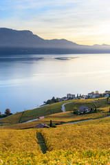 Lavaux Vineyard Terraces, Switzerland during sunset in autumn