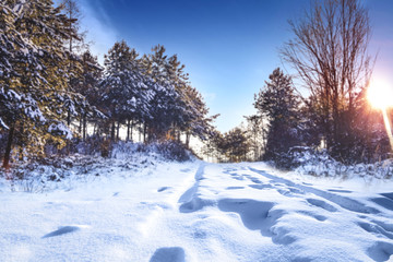 road of winter time and free space 