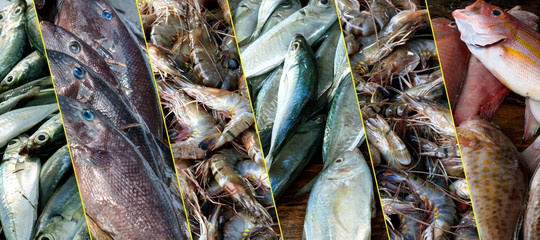 Panoramic collection of fresh seafood.