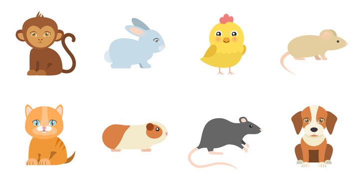 Tiere Set Flat Design