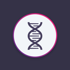 dna chain icon, gene research, genetics symbol