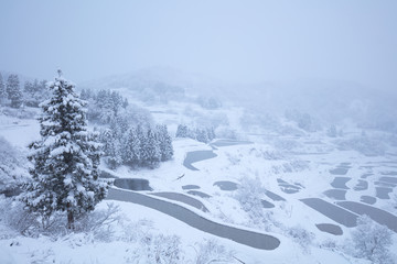 星峠の棚田 雪景色