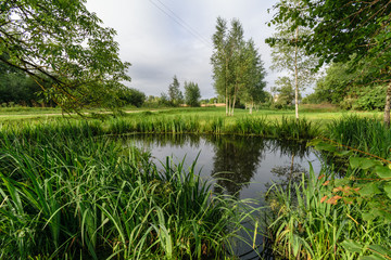colorful lake river in countryside in summer