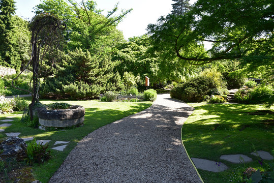 All&eacute;e ombrag&eacute;e au jardin au printemps