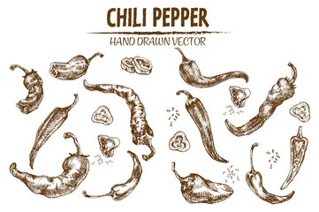 Fotobehang Digital vector detailed line art chili pepeper © frimufilms
