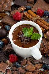 hot chocolate with mint in a cup and ingredients, vertical