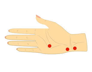 The inner side of the woman's right hand, isolated on white background