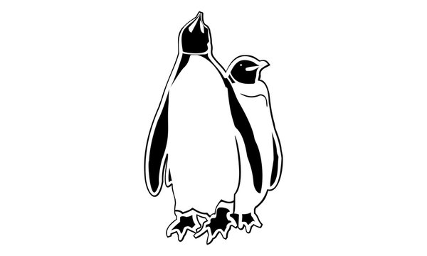 silhouette of penguins