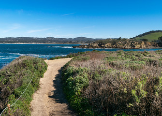 Point Lobos State Natural Reserve, Big Sur, Carmel Highlands, Monterey County, California, USA