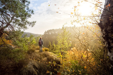 Afternoon walk in the mountains. Beautiful sunshine in this autumn. Great wether in fall for wanderlust in this landscapes. Colorful foliage and leaves in the forests. Sunlight and colourful nature.