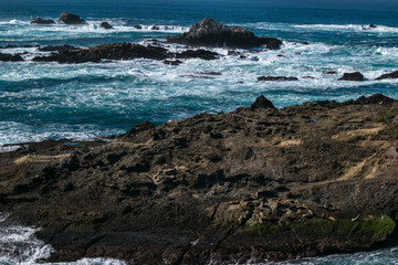 Fototapeta na wymiar Point Lobos State Natural Reserve, Big Sur, Carmel Highlands, Monterey County, California, USA