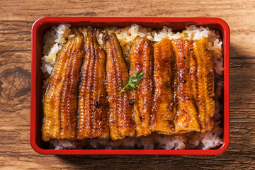 日本産鰻の蒲焼 high quality Japanese broiled eel 