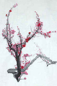 flowering plum branch