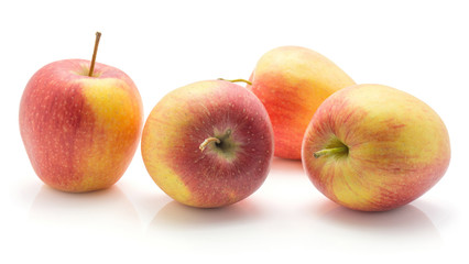 Four apples (Evelina variety) isolated on white background red yellow with stems.