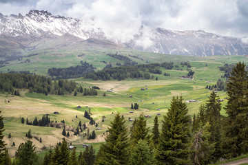 Obraz premium Alpine pine forest and small huts