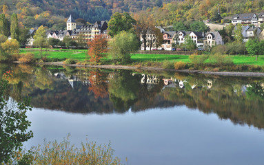 Fototapeta na wymiar Herbst in Weinort Moselkern im Moseltal,Rheinland-Pfalz,Deutschland