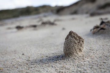 Shape of a small sand hill after a stormy day coastline in France