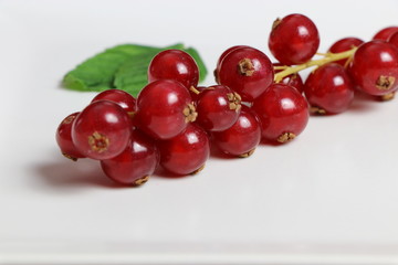 Ribes rosso su sfondo bianco e foglie di menta