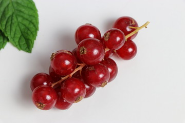 Ribes rosso su sfondo bianco e foglie di menta