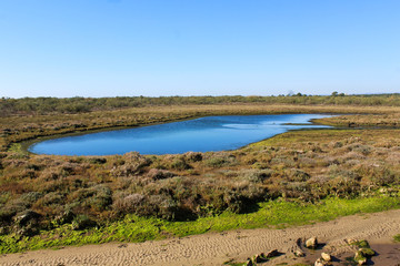Fototapeta na wymiar National swamp of Vila Real de Santo Antonio in porugal