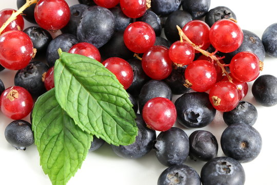 Frutti di bosco, mirtilli e ribes rosso con foglie di menta