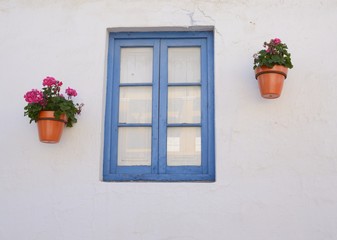 Flowers pots and blue window in Estepona, Andalusia, Spain
