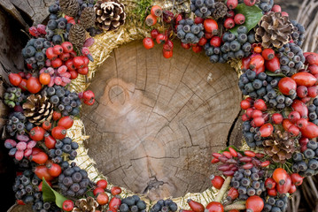background: Christmas wreath, tradition for the holidays, hand made with wild rose berries found in the forest, ivy leaves and berries, red and blue, pine cones, December, winter, Italy