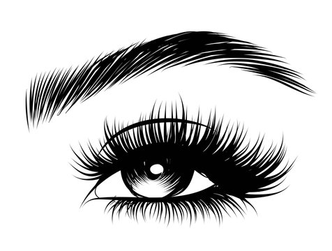 black eye with long lashes and eyebrow clip art preview