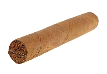 Cigar on a white background