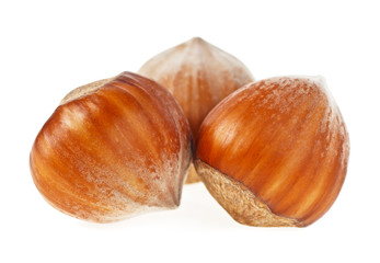 Group of healty hazelnuts isolated on a white background