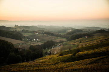 Obraz premium Sonnenuntergang in den Weinbergen