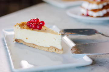 Cheesecake with red currant berries on white plate.