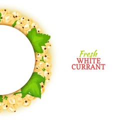 Semicircle colored frame composed of delicious white currant fruit. Vector card illustration. White currant berry half-round frame for design of food packaging juice breakfast cosmetics tea detox diet