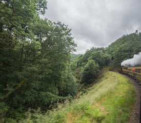 Fototapeta na wymiar Aberystwyth, Ceredigion, Wales, UK. June 29th 2017. Steam engine and carriages on the Vale of Rhediol Railway, Aberyswyth, Wales, UK