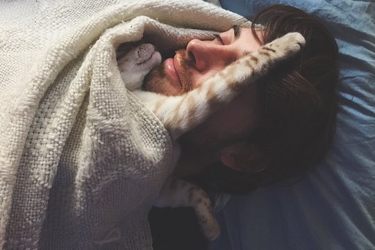 gattino dorme sopra il padrone