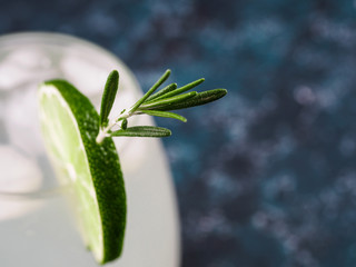 Glass of Martini coctail with fresh rosemary