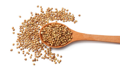 coriander seeds in wooden spoon isolated on white background top view