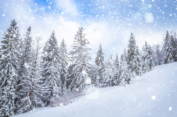 Beautiful winter landscape with snow on the trees