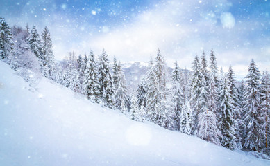 Fototapeta premium Beautiful winter landscape with snow on the trees