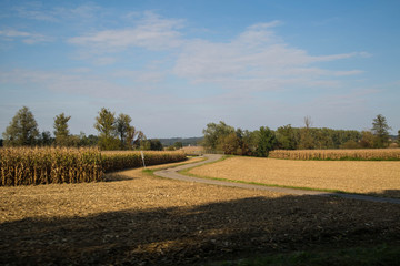 Fototapeta premium Landwirtschaft in Österreich im Sommer