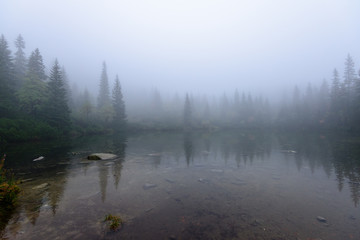 misty morning view in wet mountain area in slovakian tatra. mountain lake panorama