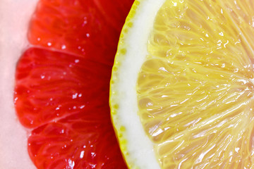 Two slices of grapefruit and lemon close up. Red slice of grapefruut and yellow slice of lemon....